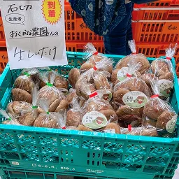 私たちの想い画像
