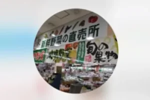 パートナー企業画像